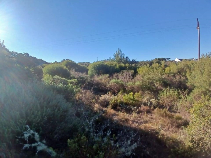 0 Bedroom Property for Sale in Stilbaai Oos Western Cape